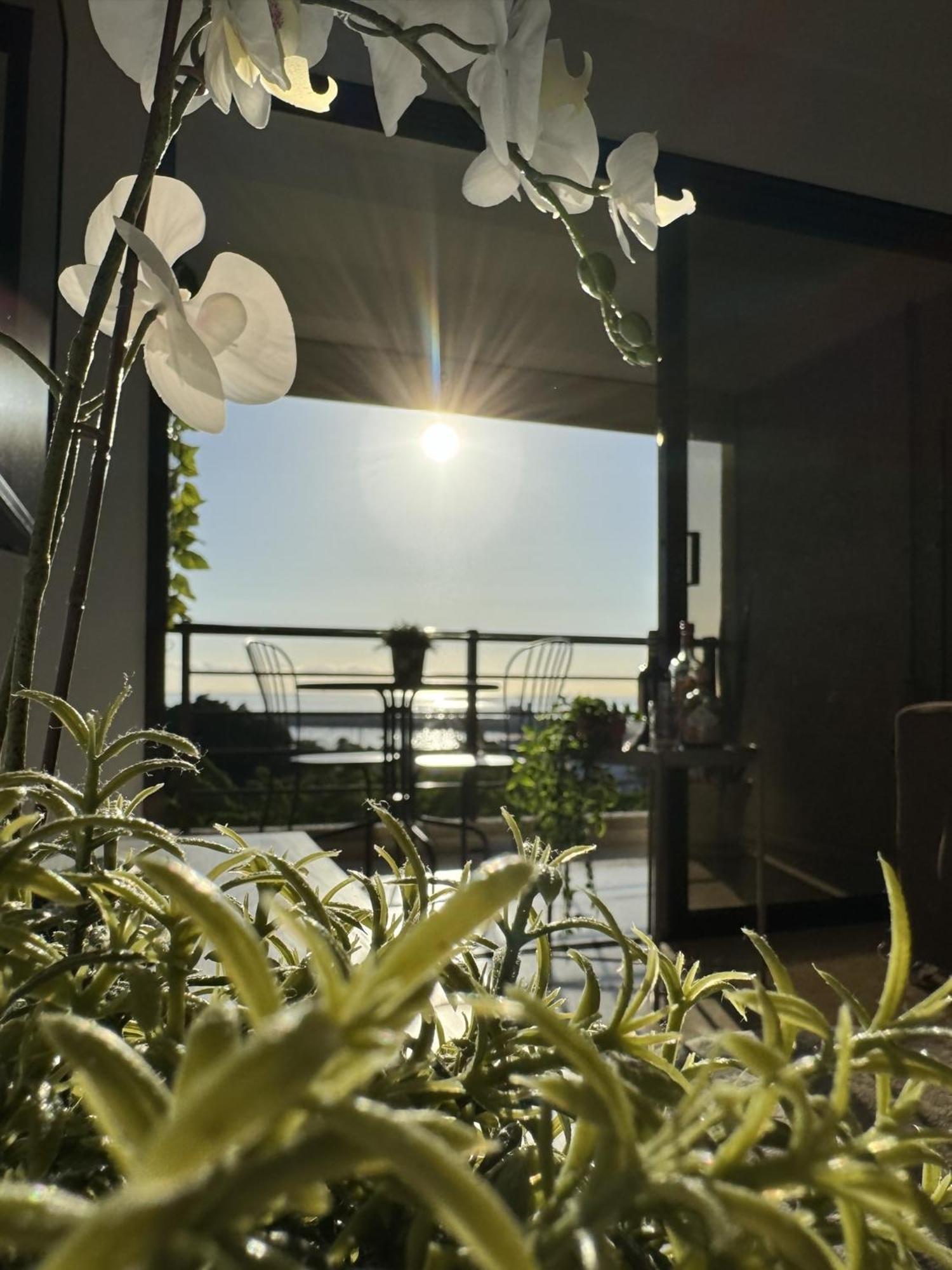 Sovhispan Sc Tenerife Piscina 산타크루스데 테네리페 외부 사진